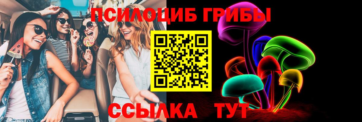 Еманжелинск  Псилоцибиновые грибы мухоморы  Вход с VPN  Псилоцибиновые грибы прущие грибы 